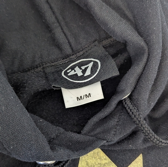 Black Raptors Hoodie - Picture 3 of 3